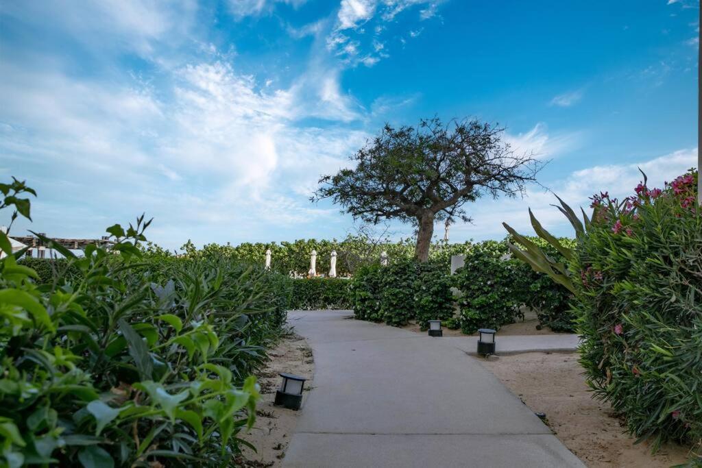 Exquisite 3Br Condo Ocean Views Access Resorts 카보산루카스 외부 사진